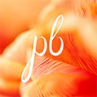 Polly Bloom Divorce & Separation Coach logo - Similar company to The Still Method