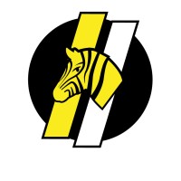 ZEBRACONCEPT logo - Similar company to Aviano.Duscio