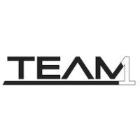 Team1LLC logo - Similar company to Usaddress.Com