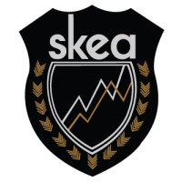 SKEA Limited logo - Similar company to The Biblepay Foundation