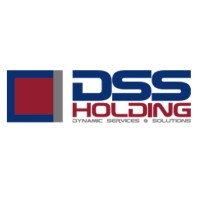 DSS Holding logo - Similar company to Gravity Advisory