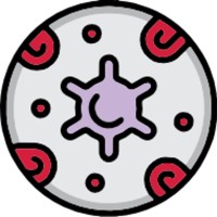 HaemAnalytica logo - Similar company to Computers Processes And Management