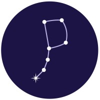 Polaris Genomics logo - Similar company to Genome Explorations Inc