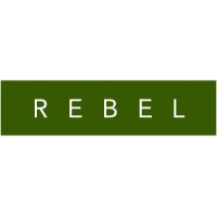 Rebel Group logo - Similar company to Emc2 Talent Solutions