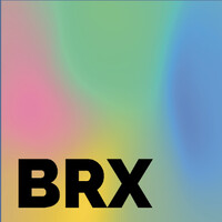 BRXai logo - Similar company to Vikit.Ai