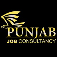 Jobs in Hoshiarpur logo - Similar company to Sachdeva Stocks Pvt Ltd