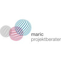 PROJEKTBERATER AG logo - Similar company to Institut Für Dynamikrobuste Organisation (Ido)
