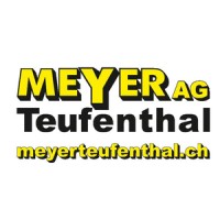 Meyer AG Teufenthal logo - Similar company to Compacttilt