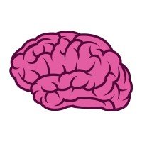 Brainyloft
