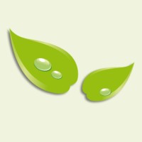 Formule Verte logo - Similar company to Yquos
