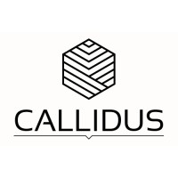 Callidus Investments logo - Similar company to Society Of Women In Business At Georgia Tech