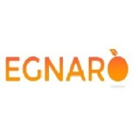 EGNARO SOFTWARE SOLUTIONS PRIVATE LIMITED logo - Similar company to Thecodingcompanyx