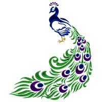 Peacock & Paisley