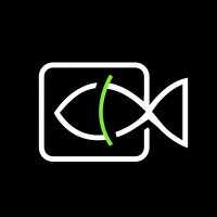 One Big Fish logo - Similar company to Austin Matley