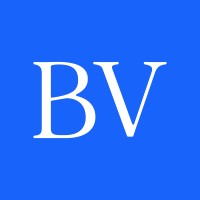 Blue Vector logo - Similar company to Epik⚡️