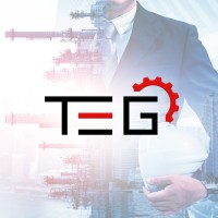 Trusted Experts Group logo - Similar company to Rgi Investment Ltd.