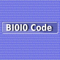 B1010 Code logo - Similar company to Mais Leads