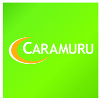 Caramuru Alimentos S.A. logo - Similar company to Alcafood