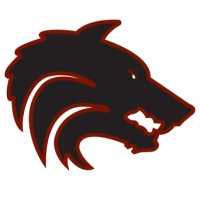 Desert Mountain High School logo - Similar company to Activstars