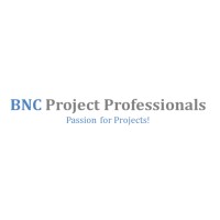 BNC Project Professionals Sweden AB logo - Similar company to Ramistech