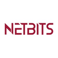NETBITS logo - Similar company to Sd Digital Solutions