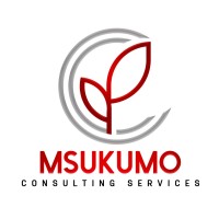 Msukumo Consulting logo - Similar company to The Leadership High