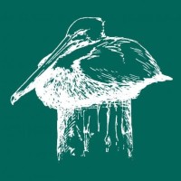 Tulane Environmental Law Journal logo - Similar company to Tulane Environmental & Energy Law Society