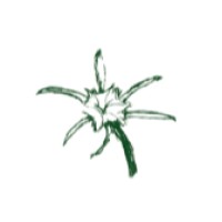 Cahaba Transportation logo - Similar company to Wright Way Freight Logistics, Llc.