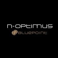 N-OPTIMUS / BLUE POINT logo - Similar company to Vmp Group