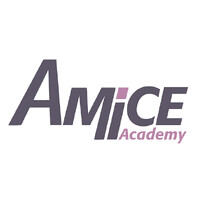 Amice Academy