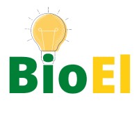 BioEl Energy Indonesia logo - Similar company to Ubs Different Energy.