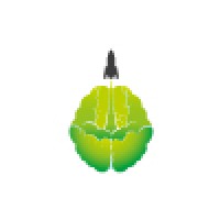 Mental Mojo