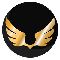 MERAKI ALLURE logo - Similar company to Wasim The Dream