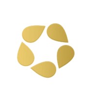 Rainmaker Inc logo - Similar company to Fairfax Imaging