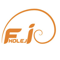 Fİ Okulları logo - Similar company to Fi Akademi