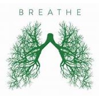 The Healing Sanctuary Las Vegas logo - Similar company to Gravis Marketing