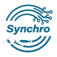 Synchro logo - Similar company to Precision Measurement Engineering (Pme)
