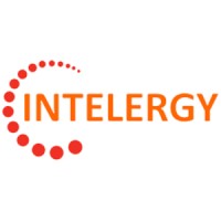 INTELERGY Srl logo - Similar company to Maxxtech Srl