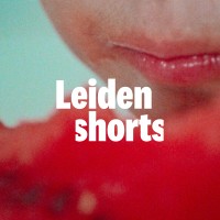 Leiden Shorts logo - Similar company to St. Joost School Of Art & Design