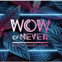 Wow or never logo - Similar company to Dbod