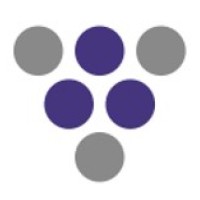 Grapevine Asia Partners logo - Similar company to Risk Profiles Philippines