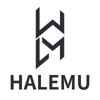 Halemu Diamond tools logo - Similar company to Plating Electronic Usa