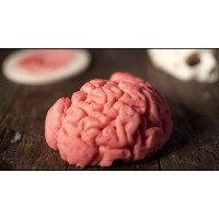 3D Printed Evidence logo - Similar company to 3D Edge Llc