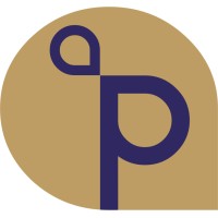 Pentation Analytics logo - Similar company to Express Analytics
