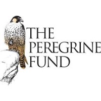 The Peregrine Fund World Center for Birds of Prey logo - Similar company to Raptor Research Foundation
