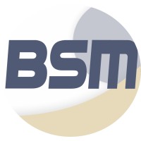 BSM, RealEstate logo - Similar company to B S M Property Llc