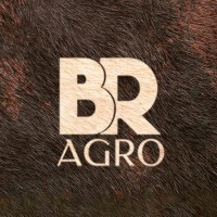 Beira Rio Agronegócios logo - Similar company to Licon, Lda
