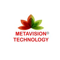 METAVISION TECHNOLOGY PRIVATE LIMITED logo - Similar company to Avapps