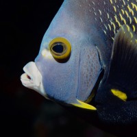 Barry Peters Photography