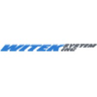 Witek System Inc. logo - Similar company to Wi-Tek Tech Support
